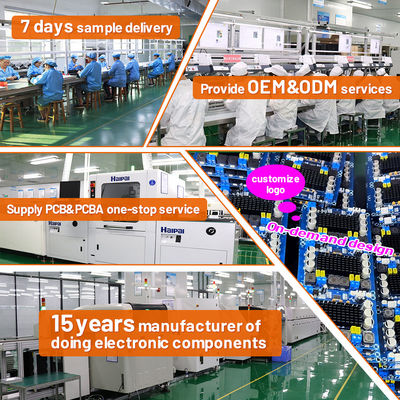 2x600W Stereo Digital Power Amplifier Board AC DC Converter con alimentazione elettrica di commutazione