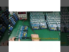 Audio modulo dell'amplificatore