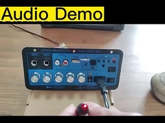 D60 50W Subwoofer Amplifier Board Amplificatore audio Bluetooth con audio ottico 12V24V220V