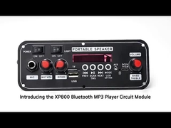 2x10W 7.4V Microfono Spettatore senza fili Opzioni cablate Interfaccia scheda audio radio FM BT Decodifica