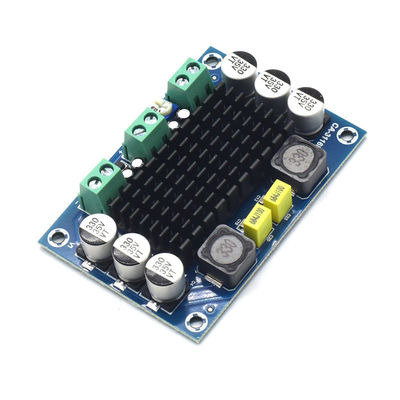 CA-3116D Original 100W Mono Audio Amplifier Board con chip TPA3116D2 e ingresso 12-24V