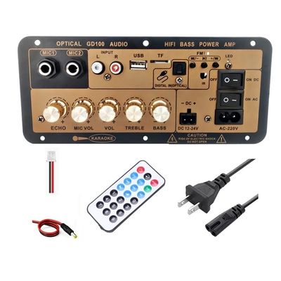 100W BT Mono Amplifier Board con 2,0 canali per audio domestico e auto