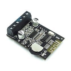 XY-P15W 20W Amplificatore ad alta potenza con Bluetooth stereo 5.0 per 12V 24V