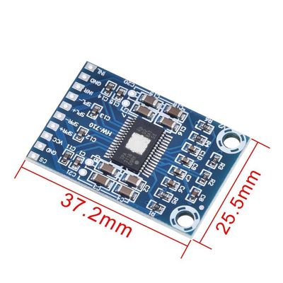 TPA3116D2 Amplificatore Audio Modulo Dual Channel 50W Potenza di uscita 12V-24V DC Digital Audio Amplifier Board