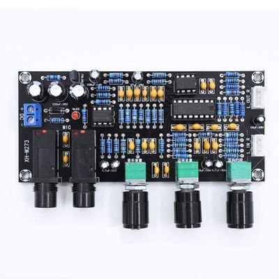 PT2399 NE5532 Microphone Amplifier Board con tensione di lavoro DC12-24V per l'amplificazione audio stereo