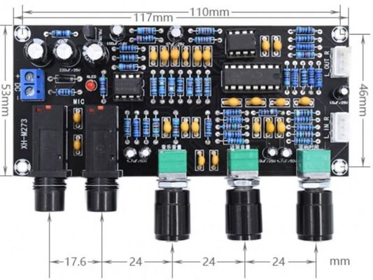PT2399 NE5532 Microphone Amplifier Board con tensione di lavoro DC12-24V per l'amplificazione audio stereo