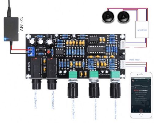 PT2399 NE5532 Microphone Amplifier Board con tensione di lavoro DC12-24V per l'amplificazione audio stereo