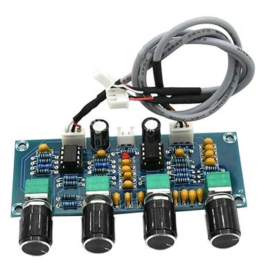 NE5532 Amplificatore modulo audio classe D Amplificatore digitale con ingresso DC12V-24V e regolazione del volume dei bassi