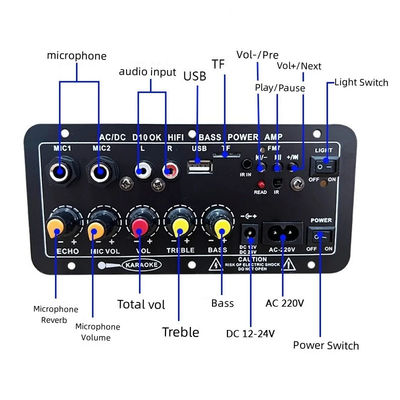D10 12V 24V Subwoofer Amplificatore di potenza digitale Board Audio wireless Stereo BT 5.0 Dual Microphone Karaoke Amp Speaker Acc
