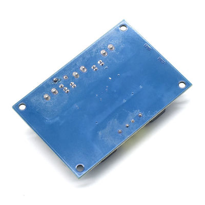 CA-3116D Original 100W Mono Audio Amplifier Board con chip TPA3116D2 e ingresso 12-24V