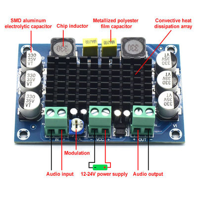 CA-3116D Original 100W Mono Audio Amplifier Board con chip TPA3116D2 e ingresso 12-24V