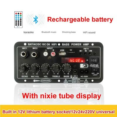 24V/220V CAR AMPLIFIER Mono amplificatore per subwoofer e doppio microfono Karaoke Audio