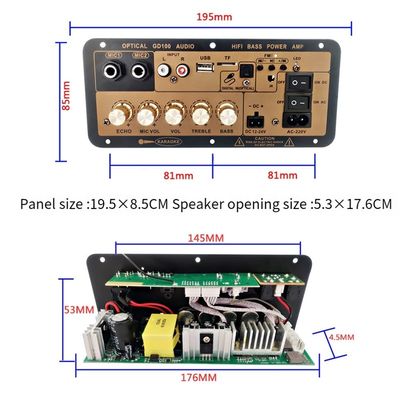 100W BT Mono Amplifier Board con 2,0 canali per audio domestico e auto