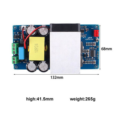 1000W Super Power Mono Digital Amplifier Board per subwoofer con 2 canali Amplificatore professionale