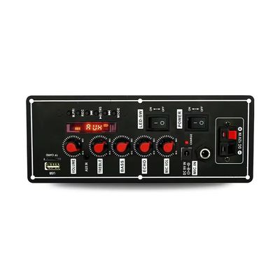Microfonia wireless con radio FM e amplificatore Bt