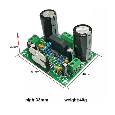 Scheda amplificatore mono da 100 W con doppio alimentatore AC12-32V per 2 canali