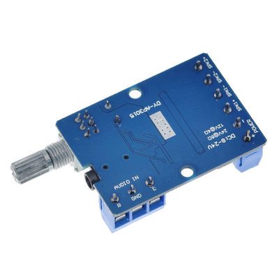 30Wx2 High Power Stereo Digital Amplifier Board con alimentazione 12V/24V per progetti audio fai da te