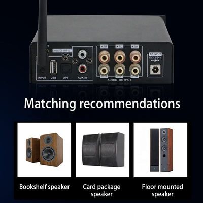 TPA3116 Amplificatore digitale 100W Stereo HiFi Classe D con Bluetooth 5.0 e custodia in lega di alluminio