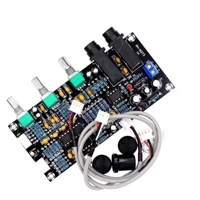XH-M273 PT2399 Digital Preamplifier Board per Karaoke 12-24V DC Reverberazione Microphone Control Microphone Speaker Prodotto