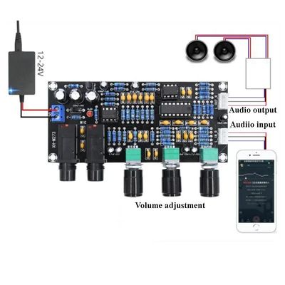 XH-M273 PT2399 Digital Preamplifier Board per Karaoke 12-24V DC Reverberazione Microphone Control Microphone Speaker Prodotto