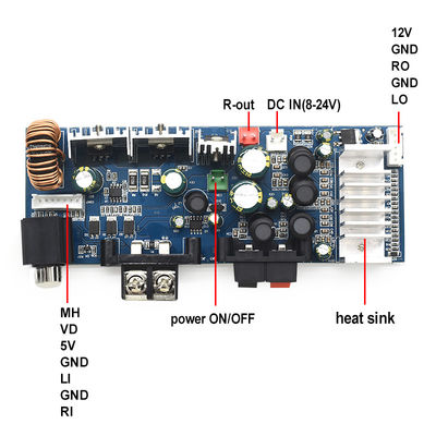 CA-3116AS Professional 2.0 Channel Digital Subwoofer Amplifier Board 2*100W 8-24V Mini TPA3116 per il Home Sound