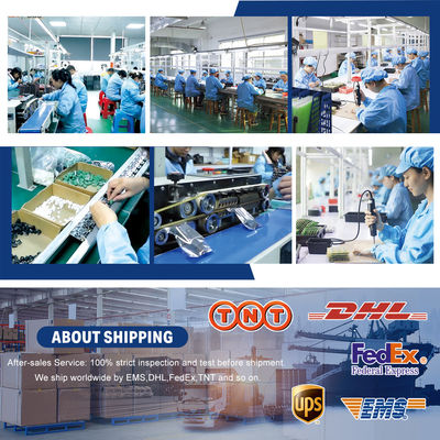 DC8-24V Dual Channels Audio PAM8610 Digital Power Audio Amplifier Board per altoparlante da 15W