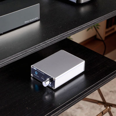 Tpa3116D2 Dual Channel 60W*2 per Home Amplifier Kit High Power Digital Audio Board Core Technology Moduli di controllo audio vocale