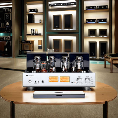 A-Level 25W+25W Amplificatore audio a tubo HIFI per la casa Alta potenza di uscita ricevitori di cuffie integrati Amplificatore di classe altoparlanti