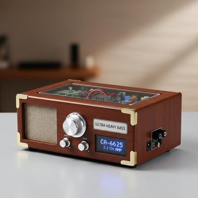 CA-6625 Scheda Amplificatore Digitale 2.1 Canali Ultra Heavy Bass con Alimentatore 12V per Progetti Audio DIY